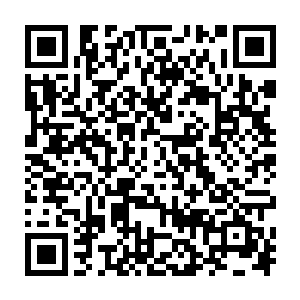 尽管看不到那人的脸　但是南宫凤鸾可以百分百的肯定　那个人　就是他二维码生成