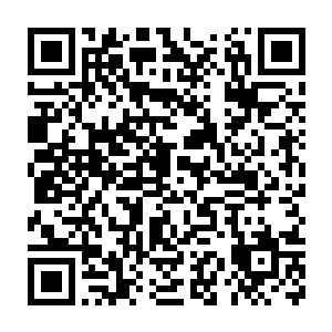 尽管这仍然不能作为司法和学术的证据――难以抢救是医生的主观臆断二维码生成
