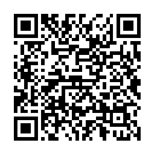 尽管里面的条件看起来实在是跟三星级有着不小的差距二维码生成