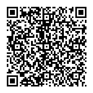 局长孙桓本来是安排办公室送一份关于近期已经签约或者已经落实了的招商引资项目名单和情况到市委办二维码生成