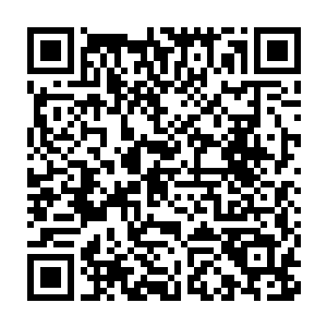 屁股上面至少会被倒钩倒刺给活生生撕扯掉碗口大小的一团血肉下来二维码生成