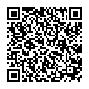 居然又出现了一个无法侦测的牛老……这对秦方不得不说是一个相当沉重的打击二维码生成