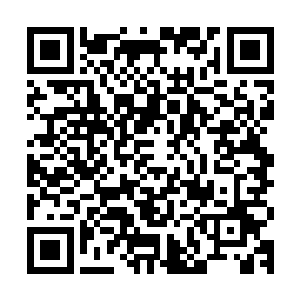 居然又在拨弄着那把匕首了……这一次可不是拔出来再插进去了二维码生成