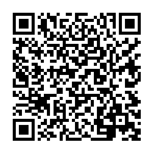 居然可以在传宗接代的时候把自己身上觉醒或拥有的强大血脉完全遗传给下一代二维码生成