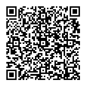 居然将自己的独门绝学幻魔指传授给了卡洛斯……这才造就了这个学会了龙国盖世绝学的野蛮人二维码生成