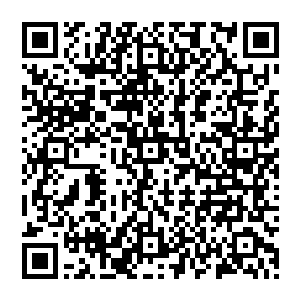 居然就在这飞机之上开始修炼起这等哪怕是在上古世界之中也足以排的上前十的绝世功法来修炼二维码生成