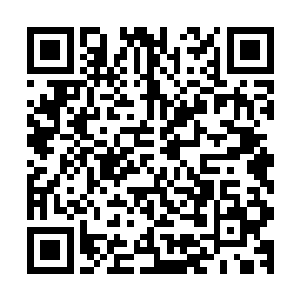 居然敢到济州岛来闹事……这件事我不会这么简单就算完了的二维码生成