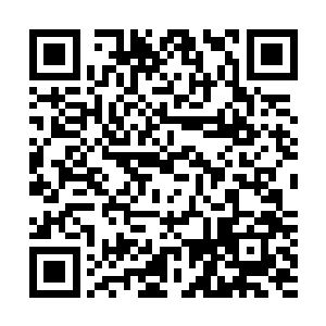 居然敢对宁羽墨和蔡晴下手……这也算是触了秦方的逆鳞了二维码生成