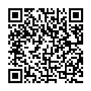 居然硬生生的抗住了……除了个别两个水系至尊实力稍微弱一点二维码生成