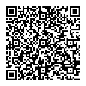 居然硬生生的闯过了他用剑气罗织起来的一道攻击网……虽然他的身躯遭受了数道剑气的袭杀二维码生成
