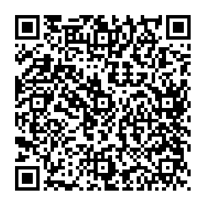 届时将由毛友山对专门用于支持蠡泽新区的地方债券发行和中央商务区的金融街区发展做一个展望二维码生成