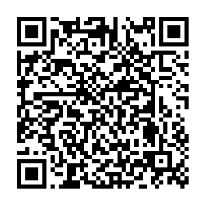 屋内的两人马上行动起来利用自己的专长开始完成苏凡交待的任务二维码生成