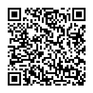 屏障是利用整座陵墓的风水加上数亿生灵的怨气和周边的天地之力组成的二维码生成