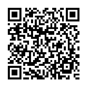 屏风后那仿佛和这接引大殿是两个世界的缥缈世界展现在了眼前二维码生成