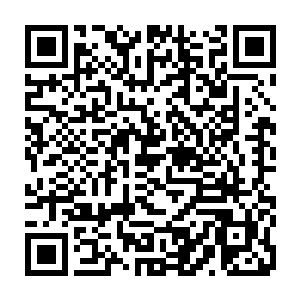 展示台上摆放着一枚芯片跟一台之前在普特利岛上曾经展示过的小巧设备二维码生成