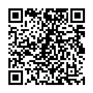 属于她仙力池的独有的代表木系的仙力瞬间把刀锋染成碧色二维码生成