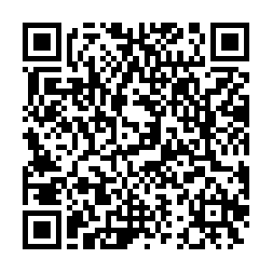 属性的提升显然根本就不足以完全体现出龙傲天现在的实力的提升二维码生成