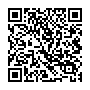屡次三番看不起陆凌风的阿九已经不再是昭华郡主疼爱的晚辈了二维码生成