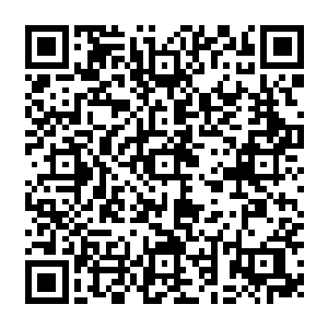 山姆刚才跟许德拉对碰的那一下可是使得他的整条手臂都产生了一阵的钻心的疼痛二维码生成