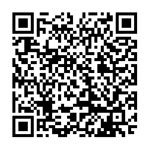 山姆见到自己的攻击再一次无功而返的时候顿时也是引起了他的争强好胜之心二维码生成