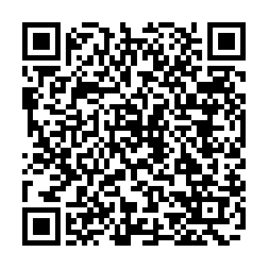 山河社稷图里水墨描绘的九艘敌舰画影似感应到外面交火的灵气潮涌震荡二维码生成