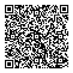 山猪留下保护他的小弟早已经被人砍翻在了地上估计现在都被分成几段了赵东兴喘了几口大气他迈开步子向着总部大门走去二维码生成
