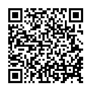 岂不是说他注定无法将这个在拍卖场给他难堪的小子教训了二维码生成