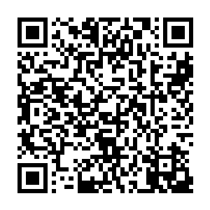 岂不正是武者修行最重要的灵气初现之刻……而这一现象到了神谕区域这边二维码生成