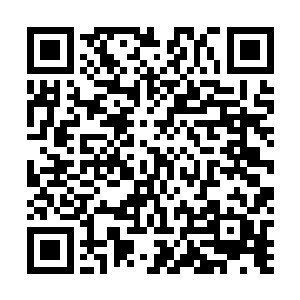 岩壁上立刻无声无息出现一枚直径在一米以上的巨大掌印二维码生成