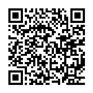 岳公子……求求你了……我真没做出任何对不起你的事啊……二维码生成