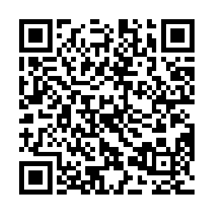 峡谷两边还有红樟林这么明显的标志可以协助辨识方向二维码生成