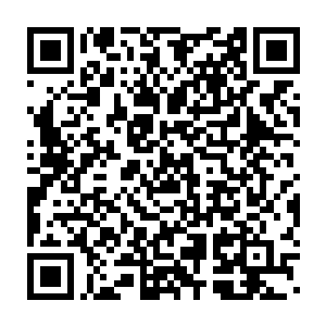 崔智敏那已经血肉模糊的几乎看不出人形的尸体也是从树上坠落了下来二维码生成