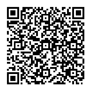 崖顶的美人崖主亲眼看着代离头顶的血脉巨像无比张狂得将扯下来的庞大月之精华吞噬二维码生成