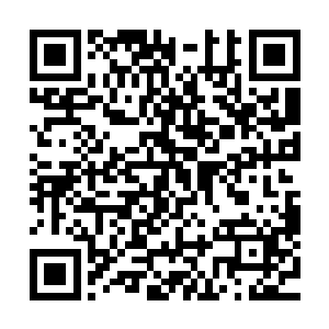 州县主官都是正心诚意的道德君子办的案自然不会出什么问题二维码生成