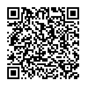 州牧董文丛以及州都督方守业的不作为导致爆发大规模百姓上街事件二维码生成