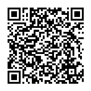 巡逻队伍中的另一名化神巅峰修士狠狠瞪了这说话的鲨齿族族人一眼二维码生成