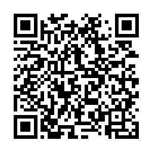 工作组会聘请专业的会计师对他们的厂子进行评估二维码生成