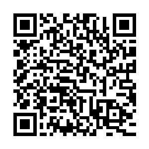 左玲也只是教了晏晨最基本最简单的开栓拉栓和怎么装子弹打枪二维码生成