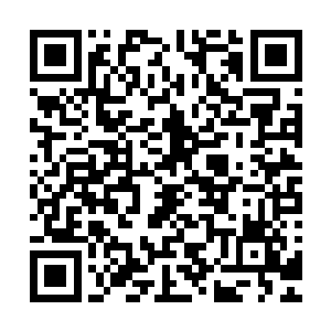 巨人族的粗犷高大和雨族的自然细腻竟然完美地结合到了一处二维码生成