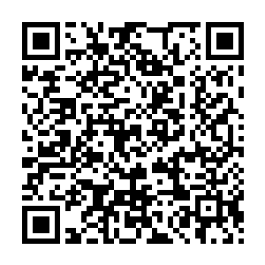 巨人骨架上猛的就飞出了两根对于流墨墨来说完全是大棒子的肋骨二维码生成