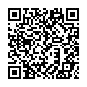 巨型蟒蛇看到原本一直采取守势的对手突然主动攻击二维码生成