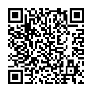 巨大的威力就在距离池墨卿他们几米开外的地方震慑开来二维码生成