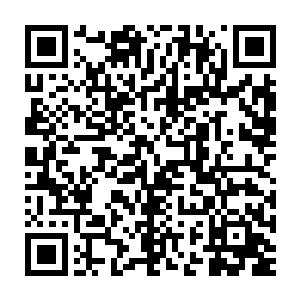 巨幅光幕上同时显示着三千五百头梦魇凶兽的生理参数和实时战斗视频二维码生成