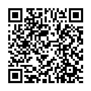 巨灵虫的另外三只利爪则死死桎梏住了安利斯塔的双臂和脖子二维码生成