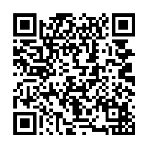 巨目猿脑门上硕大无朋的黄色眼珠转了一圈又一圈二维码生成