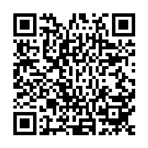 巨神兵周身所有的赤红水晶经脉统统像是狂乱的毒蛇般舞动着二维码生成
