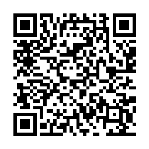 巨量的五行元素让江帆瞬间将五行元素法则的威力提升数倍二维码生成