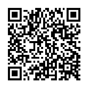 巫师与诸神们最先感应到的就是一股充满怨恨与不甘的意志二维码生成