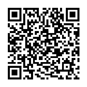 巫运之果肯定就在这小祭司身上――他们推测的过程错了二维码生成