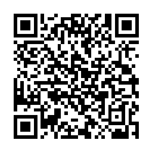 巫道大龟息术是他在星域漂流时修炼的一门隐匿功法二维码生成